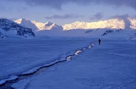 Image result for kids learn about antarctica