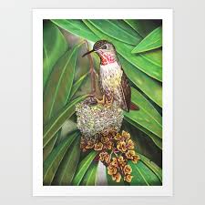 Giant Hummingbird With Art Print