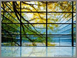 printed trees onto glass window via