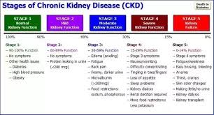 Is There Any Cure For Ckd Chronic Kidney Disease Quora