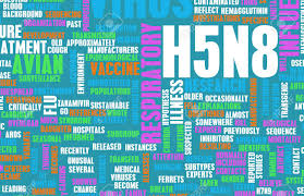 H5N8 Concepto Como Un Tema De Investigación Médica Fotos, Retratos,  Imágenes Y Fotografía De Archivo Libres De Derecho. Image 75567313.