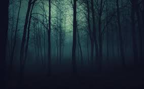 Image result for woods
