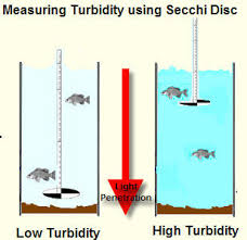Turbidity Water Quality