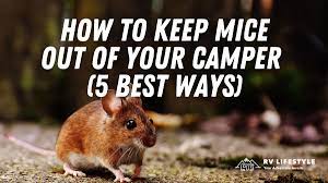 how to keep mice out of cer 5 best