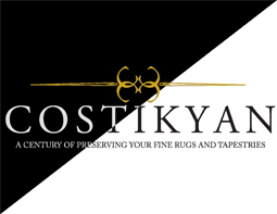 cleaning costikyan