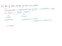 chart of the three main types of lipids