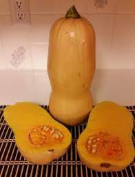 l and use ernut squash