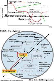 Glucagon is a hormone that is produced by alpha cells in a part of the pancreas known as the islets of langerhans. Carbohydrate Metabolism In Hypoglycemia Intechopen