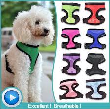 I Puppy One Harness Goldenacresdogs Com