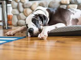 bamboo flooring good for a beach house