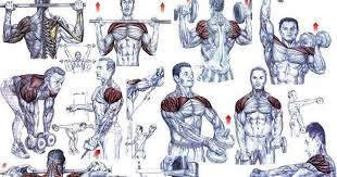Shoulder Exercises For Men To Add More Muscle Mass Bodydulding
