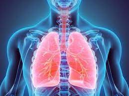 Tests to diagnose lung cancer. Lung Cancer Alert Visit A Doctor Right Away If You Have A Persistent Cough The Economic Times