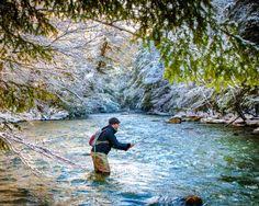 19 Best Fly Fishing Images In 2014 Fishing Fishing