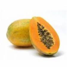 papaya in chandigarh पप त च ड गढ
