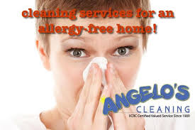 downingtown carpet cleaners angelo s