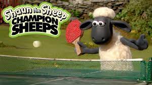 Bóng bàn | Championsheeps | Những Chú Cừu Thông Minh [Shaun the Sheep] -  YouTube