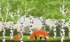 白樺林の赤狐。森の野生動物。ヨーロッパとアメリカの動物 | プレミアムベクター