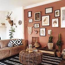 Boho Living Room With A Terracotta Wall