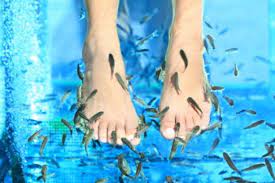 how does a fish pedicure work