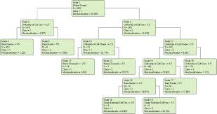 Decision Tree Classifiers For Automated Medical Diagnosis