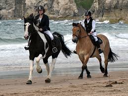 top 10 horse riding holidays in dublin
