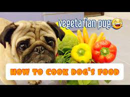 homemade dog food recipe for pugs you