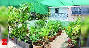 terrace gardens with organic farming a