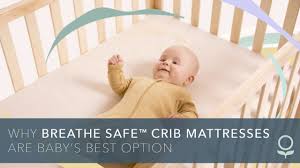 organic cotton crib mattress baby