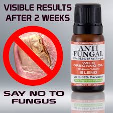 anti fungal wild oregano oil toenail