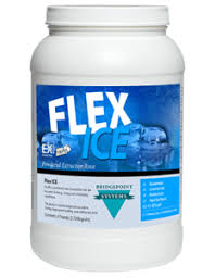 flex ice cleaner s depot