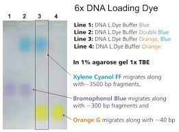 6x dna loading dye buffers sb 07 01