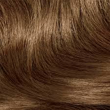 Brunette Hair Color Clairol