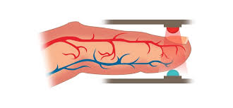 Kalp kası gevşediğinde ise kan damarda durulur; Parmak Tipi C01 Nabiz Ve Oksijen Olcer Pulseoksimetre Cihazi Fiyatlari Ve Ozellikleri