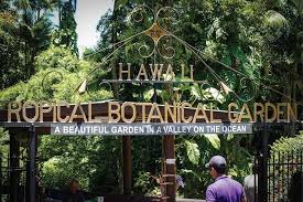 the hawaiian tropical botanical garden