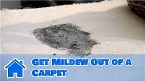 carpet cleaning how to get mildew out