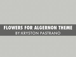 flowers for algernon theme by kryston pastrano flowers for algernon theme