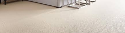 absolut carpets carpet suppliers in