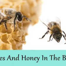 bees in the references from the