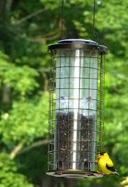 American Goldfinch Facts Habitat Diet