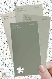 Sherwin Williams Dried Thyme Review