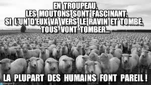 Résultat de recherche d'images pour "moutons tous parille et différents"