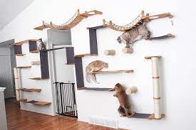 Setting up your home for your cat can be a challenge. Unconventional Cat Furniture For Feline Instincts Catastrophic Creations