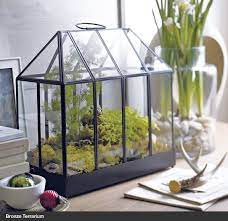 Bronze Terrarium Mini Greenhouse