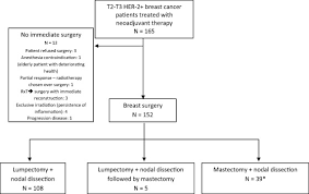 Surgery Following Neoadjuvant Chemotherapy For Her2 Positive