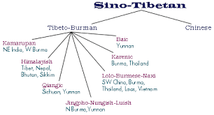 The Sino Tibetan Language Family Stedt