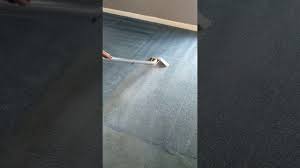 superior service carpet cleaning you
