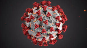 The delta variant of coronavirus, first identified in india, is spreading quickly across europe. Coronavirus Nur Ein Strang Der Delta Variante Besorgniserregend Wiener Zeitung Online