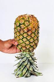 how to ripen a pineapple the foo