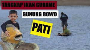 Video directed by gyo of phamous philms. Gunung Rowo No Sensor Gowes De Gunung Rowo Pati Youtube Tour Agency In Pati Jawa Tengah Indonesia Wedding Dresses