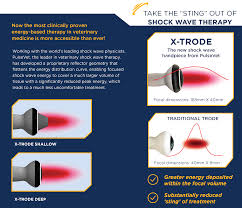 x trode veterinary shock wave therapy